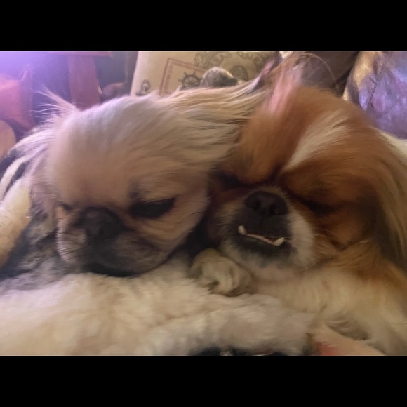 Meet your Posher, Melanie - Picture 13 of 16